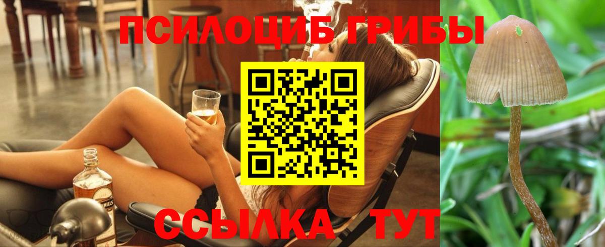 Псилоцибиновые грибы Psilocybe  Вход с VPN  Рубцовск 