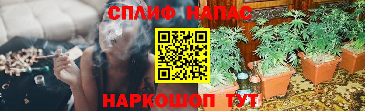 Конопля OG Kush  Бошки Шишки планчик  Шишки марихуана Amnesia  Вход с VPN  Рубцовск 